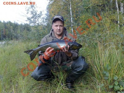 Рыболовные приманки от известной фирмы рапала - 19.09.2011 011