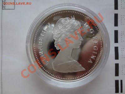 Канада: Ag-500 1$ 1984 ПРУФ Торонто в капсуле до 23.04 22 - DSC03689.JPG