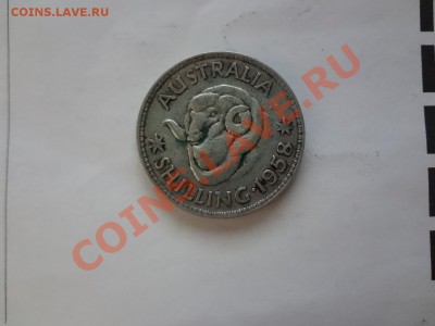 Ag! Австралия Шилинг 1958г. До 22.04.13г 22.00мск - DSC03699.JPG