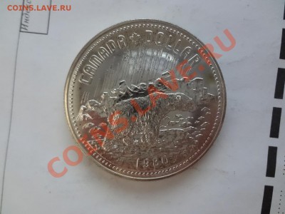 Канада: Ag-500 1$ 1980 UNC Медведь! до 22.04 22 - DSC03706.JPG