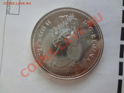 Канада: Ag-500 1$ 1980 UNC Медведь! до 22.04 22 - DSC03707.JPG