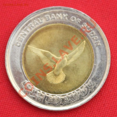 БМ СУДАН 50 пиастр 2006г. ГОЛУБЬ  до 25.04.13г.в 22-00 - IMG_5919.JPG