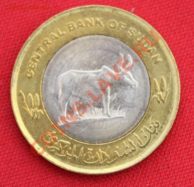 БМ СУДАН 20 пиастр 2006г. БЫК  до 25.04.13г.в 22-00 - IMG_5924.JPG