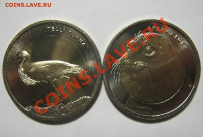 Турция 1 лира ФАУНА ОПТ - IMG_7337