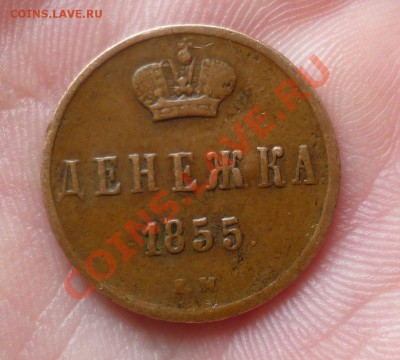 Копейка и Денежка 1855 год.(Николай-I)Не копанина! Оценка. - P1070932.JPG