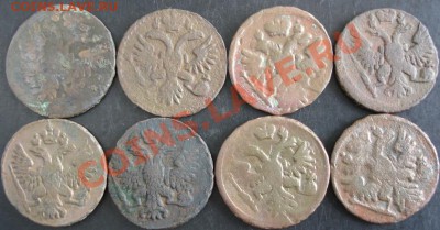 Деньга 1731-1751 года(8 шт.) до 22-00 24.04.13года - DSC00429.JPG