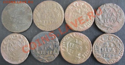 Деньга 1731-1751 года(8 шт.) до 22-00 24.04.13года - DSC00428.JPG