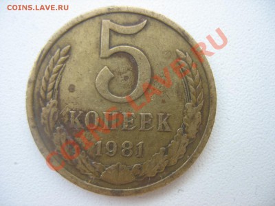 5 копеек 1981 года - 966968.JPG