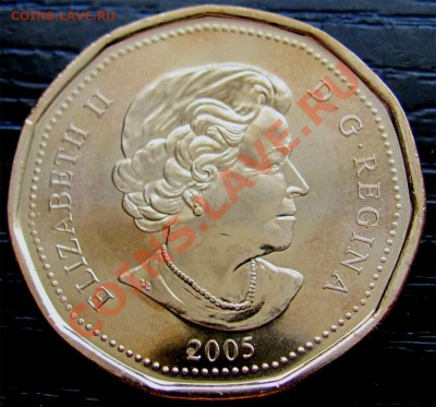 X59 Канада 1$ 1981 Terry Fox UNC до 28.04 в 22°° - X59 1$ Canada 1981 Terry Fox_2
