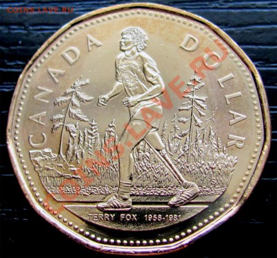 X59 Канада 1$ 1981 Terry Fox UNC до 28.04 в 22°° - X59 1$ Canada 1981 Terry Fox_1