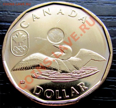 X60 Канада 1$ 2012 Lucky Loonie UNC до 28.04 в 22°° - X60 1$ Canada 2012_1