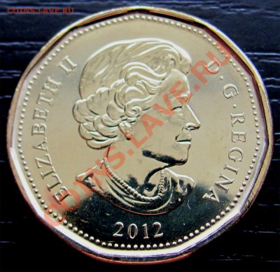 X61 Канада 1$ 2012 Grey Cup UNC до 28.04 в 22°° - X61 1$ Canada 2012 Grey Cup_2