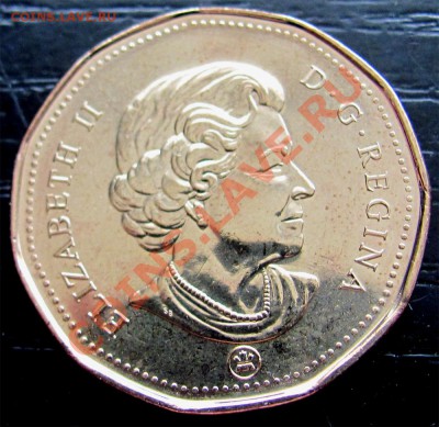 X62 Канада 1$ 2008 Lucky Loonie UNC до 28.04 в 22°° - X62 1$ Canada 2008_2