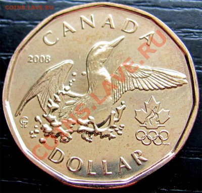X62 Канада 1$ 2008 Lucky Loonie UNC до 28.04 в 22°° - X62 1$ Canada 2008_1
