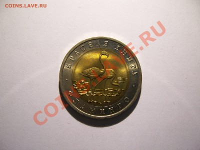КРАСНАЯ КНИГА - 100_4869.JPG