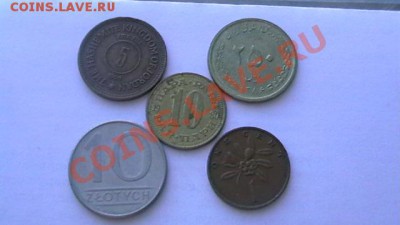 5 монет: Иордания, Иран, Ямайка, Польша, Югос. до 28.04. - IMGA0605.JPG