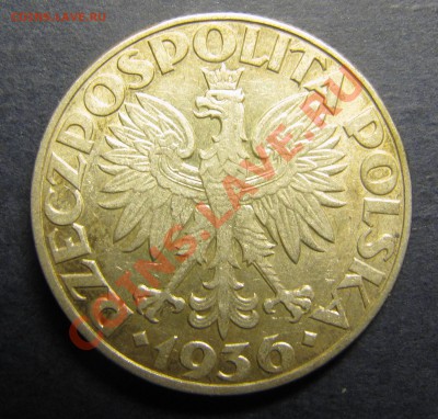 ПОЛЬША 5 злотых 1936 - Юбилней порта - IMG_5948.JPG