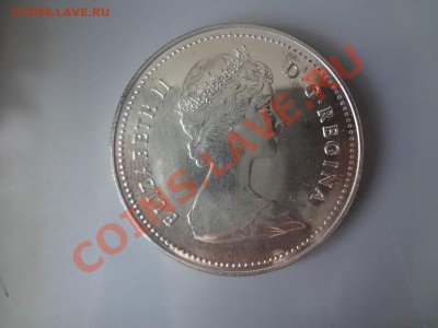 Канада: Ag-500 1$ 1980 Медведь! до 28.04 22 - DSC03805.JPG