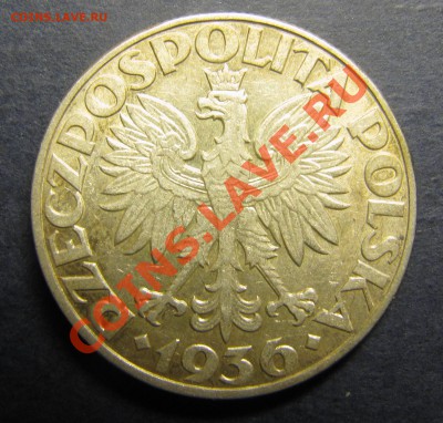 ПОЛЬША 5 злотых 1936 (юбилей порта) до 26.04.2013, 22:00 - IMG_5948.JPG