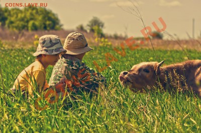 ФОТО - просто фото. Те что получились удачными. - 020111
