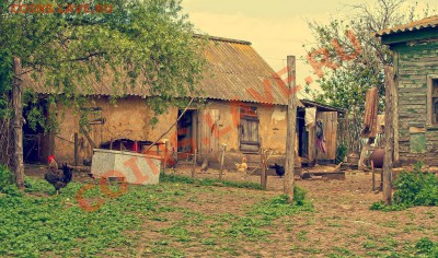 ФОТО - просто фото. Те что получились удачными. - 14411
