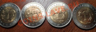 красная книга 94 год россыпью оценка - SAM_0292.JPG