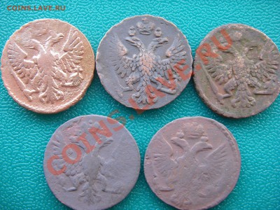 Денга 1749,48,50,51,56 годов - SDC15397.JPG