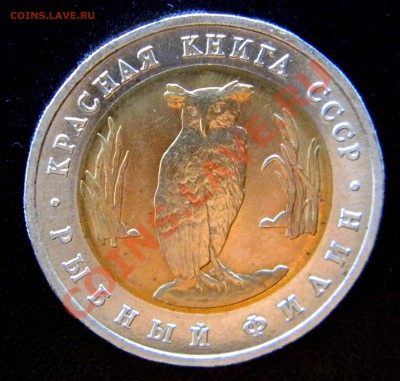 5 руб *Красная Книга* - ФИЛИН  до 27.04.2013  22:30 МСК - Изображение 023