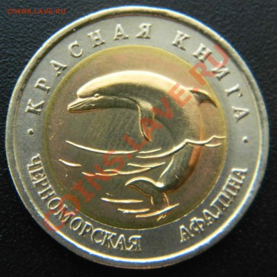 50 руб *Красная Книга* - АФАЛИНА  до 27.04.2013  22:30 МСК - Изображение 032