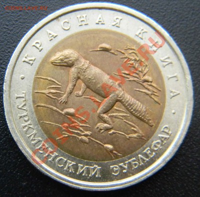 50 руб *Красная Книга* - ЭУБЛЕФАР  до 27.04.2013  22:30 МСК - Изображение 034