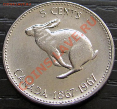 X72 Канада 5¢ 1967 Кролик до 30.04 в 22°° - X72 5c 1967_2