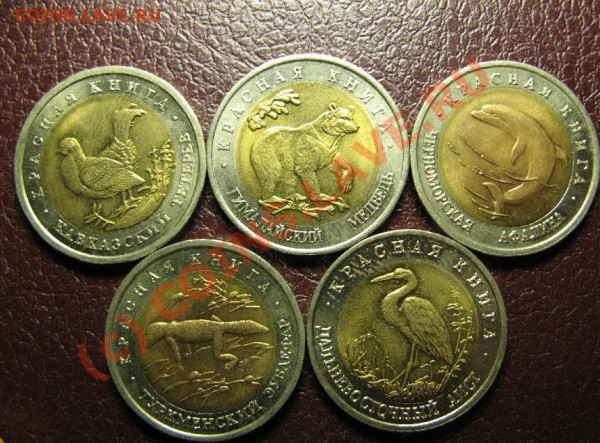 КРАСНАЯ КНИГА 1993г старт 750р - 146.JPG