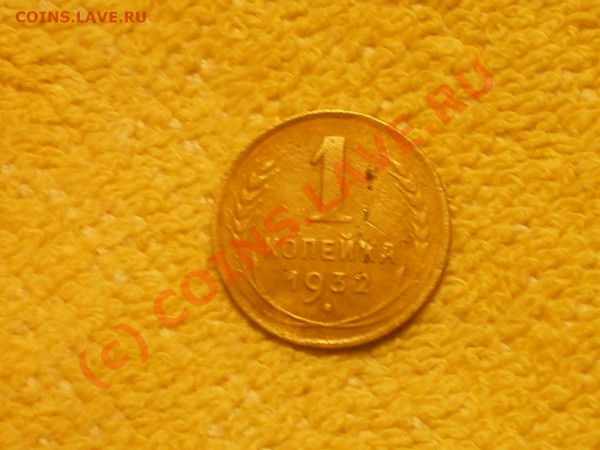 копеечка - IMGP0093.JPG