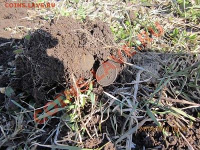 только с копа - IMG_1222.JPG
