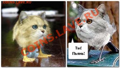 Українець-с днем рождения!!! - 2013-03-28_183524