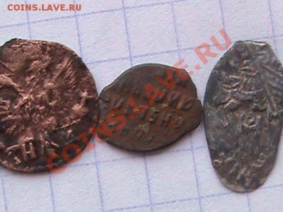 оцените чешуй - DSC00252.JPG