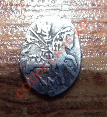 35 чешуек атрибуция и оценка - DSC05189.JPG