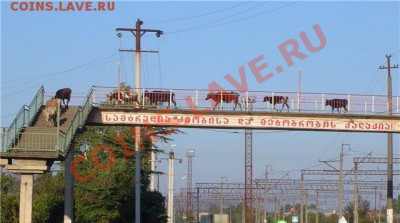 юмор - 1272034408_850925fcaa3c