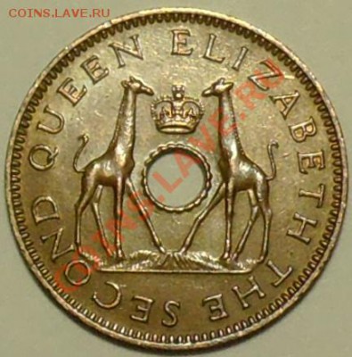 2 пенни 1958 - Жирафы - до 1 мая - 458