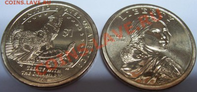Сакагавея-Индианка 1$ 2013г. Зоопарк дворы Р и D. - 100_0812.JPG