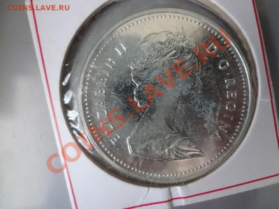 Канада: Ag-500 1$ 1984 Торонто до 2.05.13г 22.00мск - DSC03881.JPG
