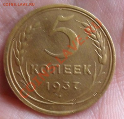 5 копеек 1937 сохран  30.04.13г  20:00 по Москве - SAM_2568.JPG