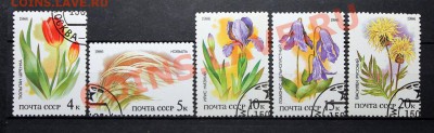 Меняю марки СССР на марки с дино и монеты по предложению - Степные растения, занесённые в Красную книгу СССР 1986 - гаш -полная серия.JPG
