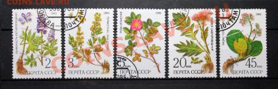Меняю марки СССР на марки с дино и монеты по предложению - Лекарственные растения Сибири 1985 - гаш - полная серия.JPG