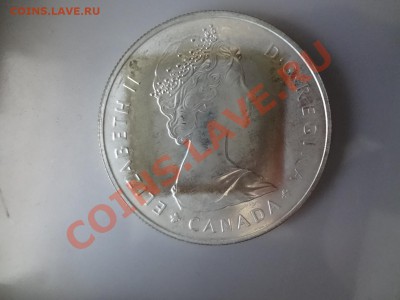 Канада: Ag-500 1$ 1985г Лось! до 2.05.13г 22.00мск - DSC03887.JPG