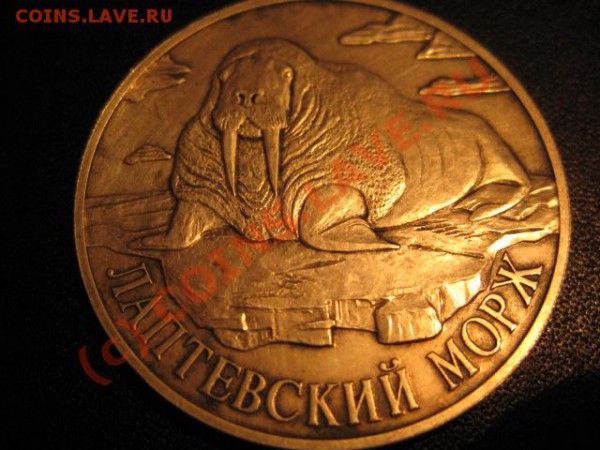 Убитый ПРУФ - морж 1998г - IMG_0284.JPG