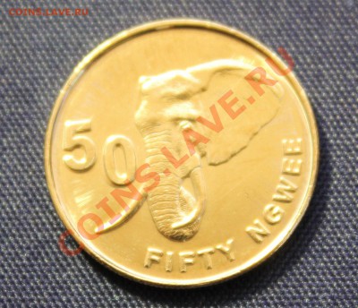 ЗАМБИЯ 50 ngwee 2012г. СЛОН до 3.05.13г.в 22-00 - IMG_6134.JPG