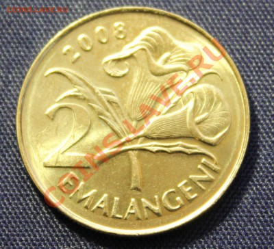 СВАЗИЛЕНД 2 emalangeni 2008г. ЦВЕТЫ  до 3.05.13г.в 22-00 - IMG_6118.JPG