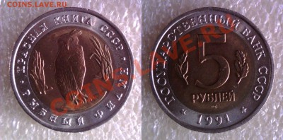 Наборы Красная Книга, 300 лет Флота - KK_filin