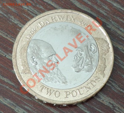 М до 4.05, 22.00 - дарвин - 1